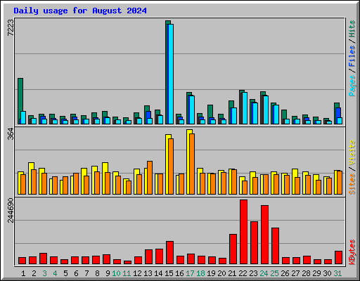 Daily usage for August 2024