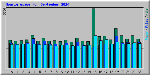 Hourly usage for September 2024