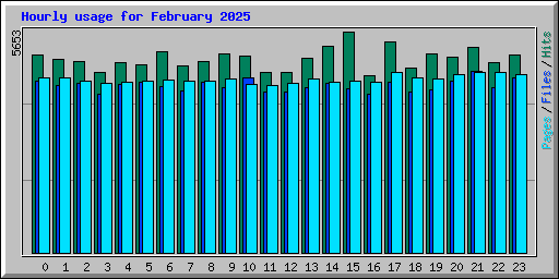 Hourly usage for February 2025