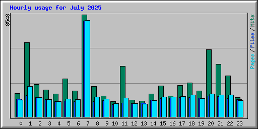 Hourly usage for July 2025